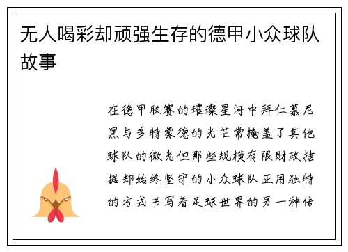 无人喝彩却顽强生存的德甲小众球队故事