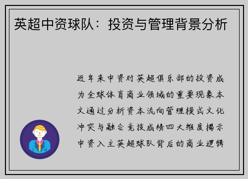 英超中资球队：投资与管理背景分析